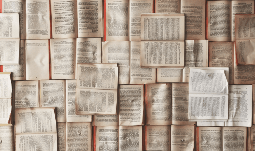 se buscan lectores