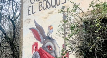 Cuida el bosque