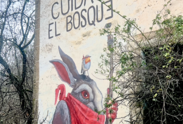 Cuida el bosque
